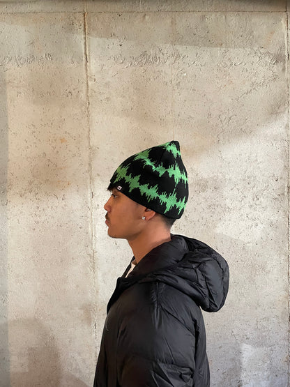 SOUNDWAVE BEANIE ( BLACK/GREEN )